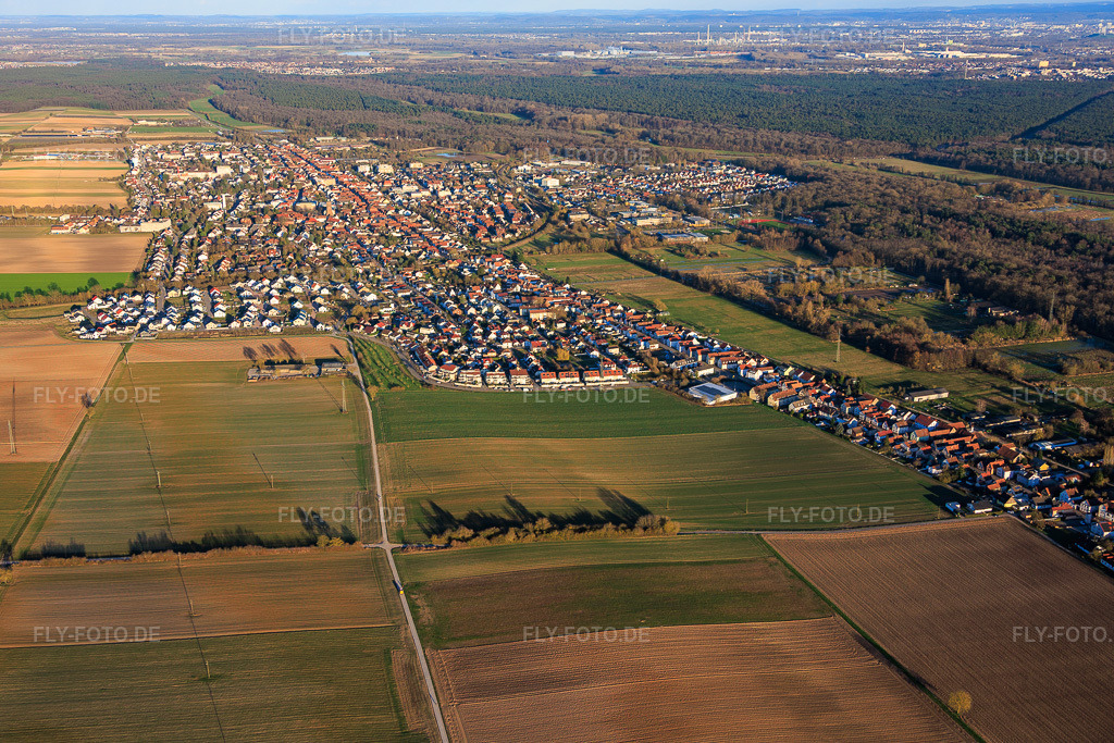 Luftbild: Stadtansicht aus Westen in Kandel im Bundesland Rheinland-Pfalz in Deutschland. Foto: IMG_153314.jpg vom 01.03.2026 durch Werner Riehm/FLY-FOTO.de