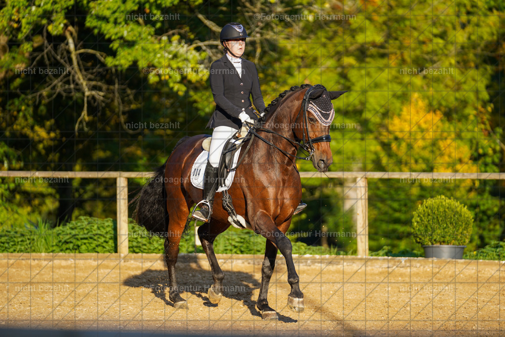 20221007-FAH00416 | Diessen am Ammersee, 2022, Dressur- und Springturnier, Reitsportbilder, Turnierfotografen Bayern, Pferdefotografen, Fotoagentur Herrmann, Turnierbilder