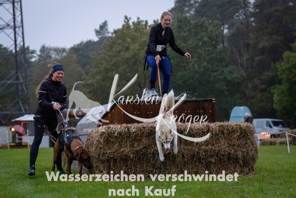 0809-_ZZ90421-Bearbeitet-Bearbeitet | kk-dogfotos