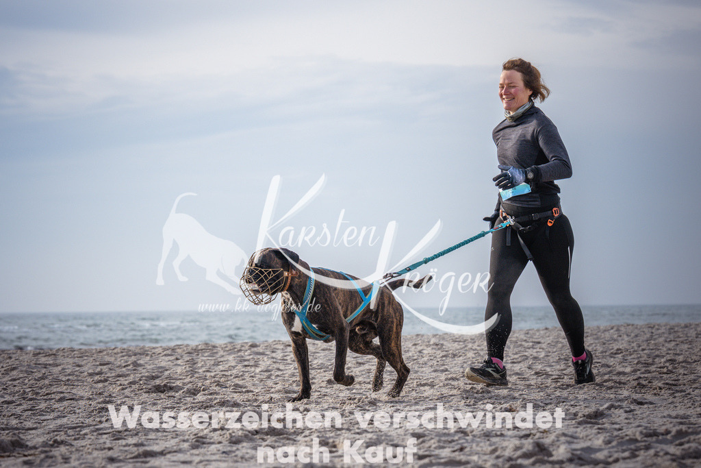 1017_ZZ94596 | kk-dogfotos