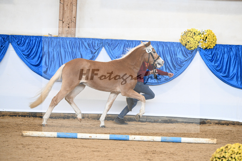 Kat-Nr. 24 nn v. Walkman M_Hartmann_48251046 | hf-fotografie - Realisiert mit Pictrs.com