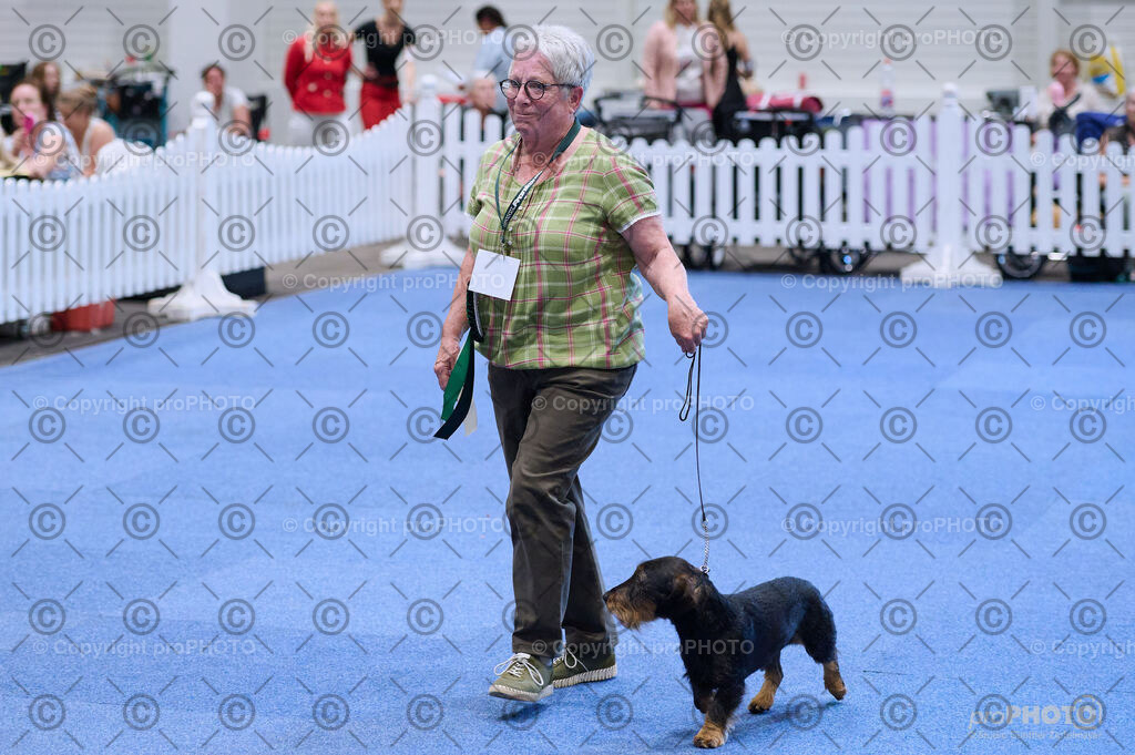 202406_ÖKV-IHA-Tulln24_DSC_3900 | proPHOTO - Realisiert mit Pictrs.com