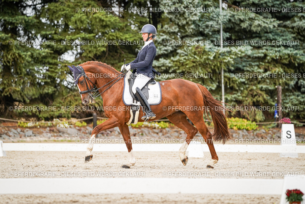 DSC09143 | Pferdegrafie