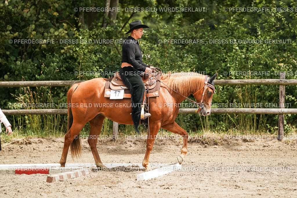 DSC08118 | Pferdegrafie