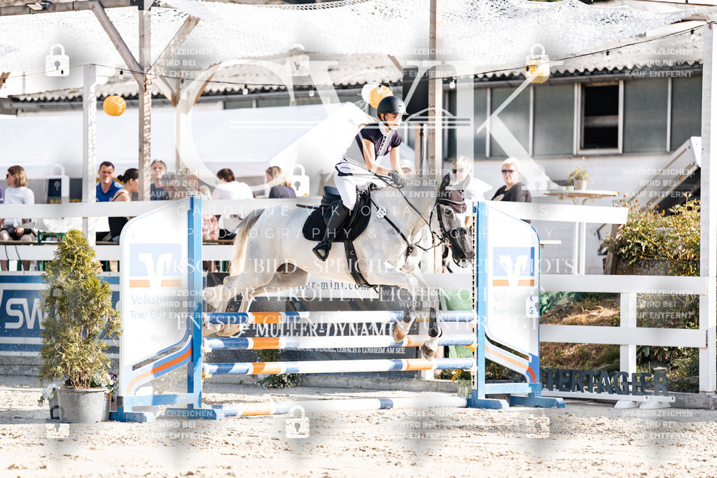 CK909333 | Turnierfotografie Pferdefotografie Trier Rheinland-Pfalz Pferdesport Reitsport Tierfotografie Sportfotografie Pferdevideo Pferdevideografie Equestrianvideography equestrianphotography  - Realisiert mit Pictrs.com