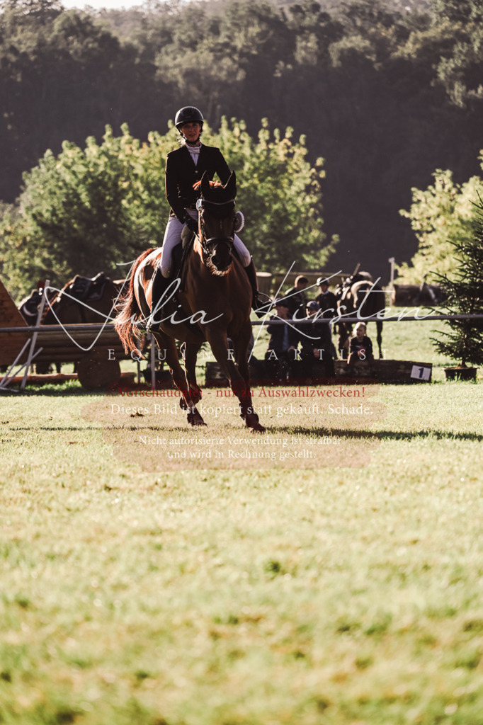 DSC_4573 | Pferde- und Turnierfotografie in Westsachsen. Pferdeportraits, Auftragszeichnungen und intuitive Kunst.