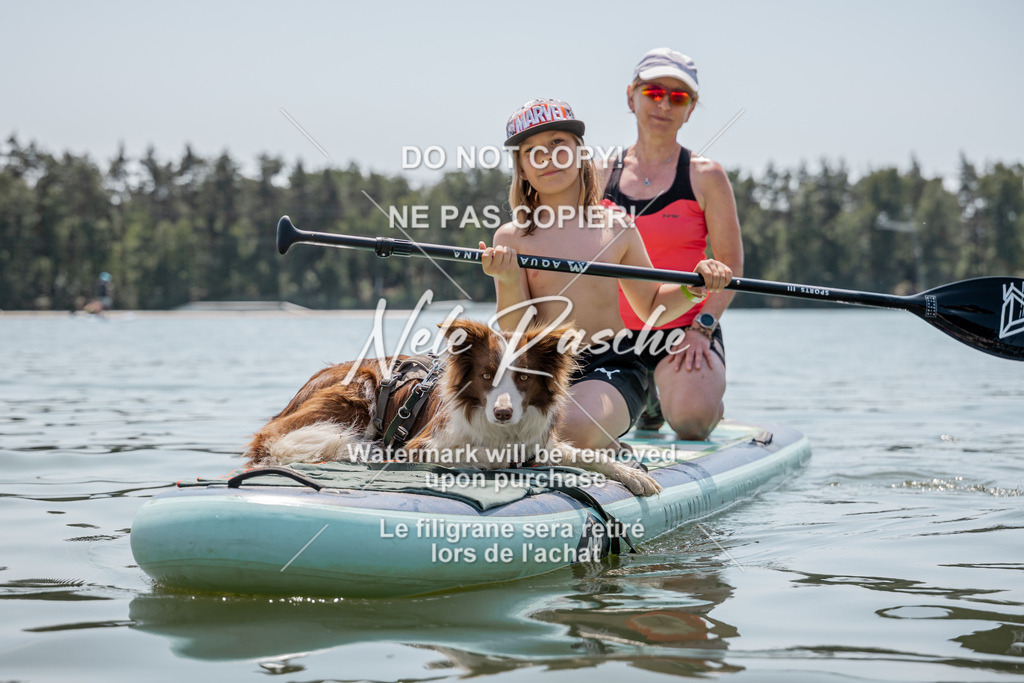 nelerasche_saSUP1_250 | nelerasche