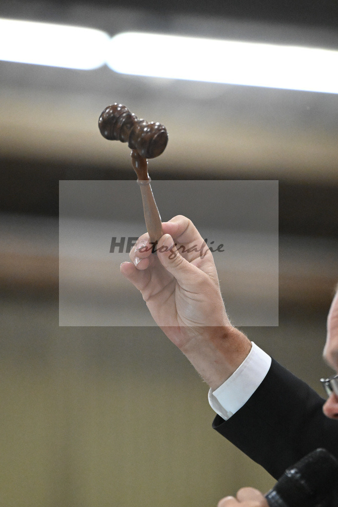 Fohlenauktion Next Chance_49220655 | hf-fotografie - Realisiert mit Pictrs.com