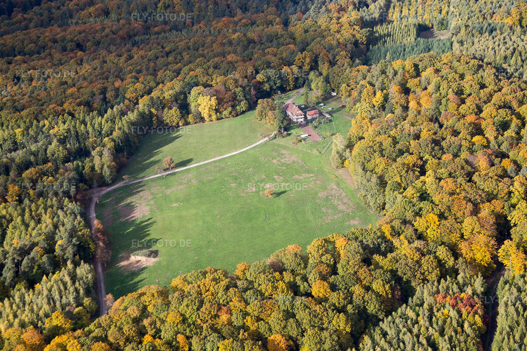 Ortsansicht | Luftbild: Ortsansicht in Nehwiller-près-Wœrth im Bundesland Bas-Rhin in Frankreich. Foto: IMG_084614.jpg vom 23.10.2015 durch Werner Riehm/FLY-FOTO.de - Realisiert mit Pictrs.com