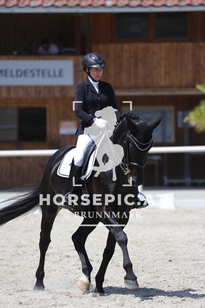 0P6A5463 | Willkommen bei Brunnmayr - Design & Fotografie – Ihrem Spezialisten für Reitturniere und Pferdeveranstaltungen in Oberösterreich, Salzburg und Bayern! Seit über 17 Jahren sind wir leidenschaftlich dabei.