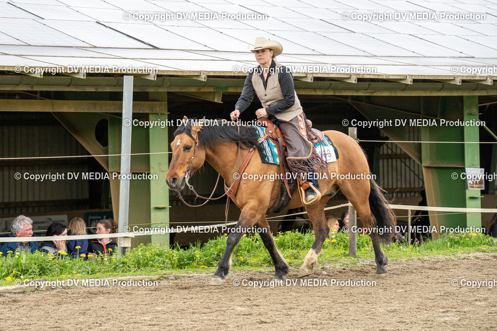 BAL00754 | dv-media-shop - Realisiert mit Pictrs.com