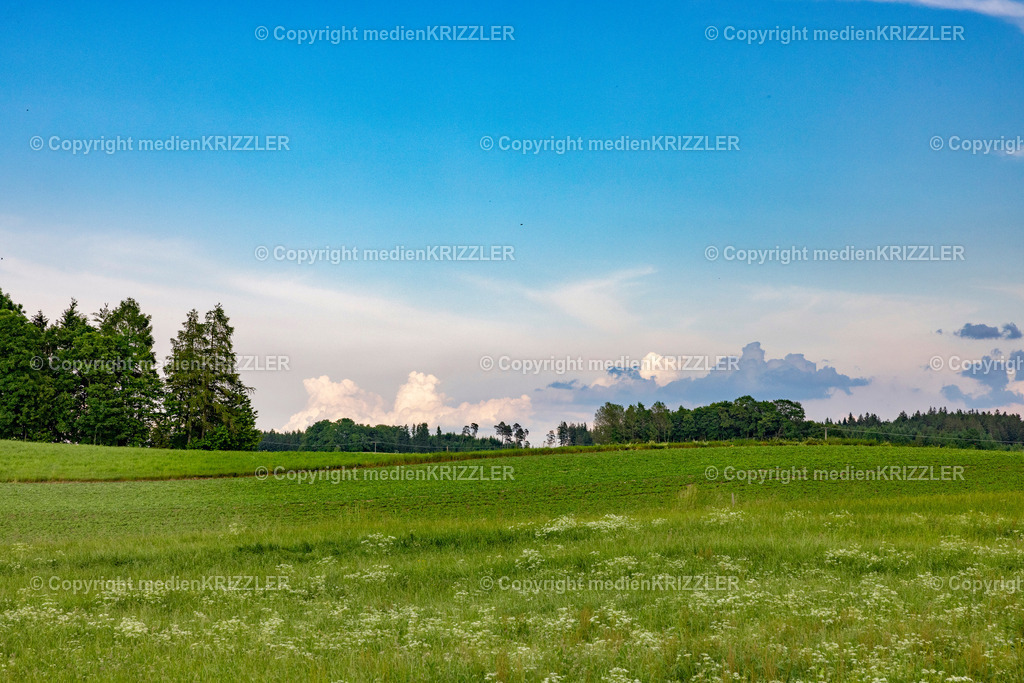 _J3A1235 | medienkrizzler - Realisiert mit Pictrs.com