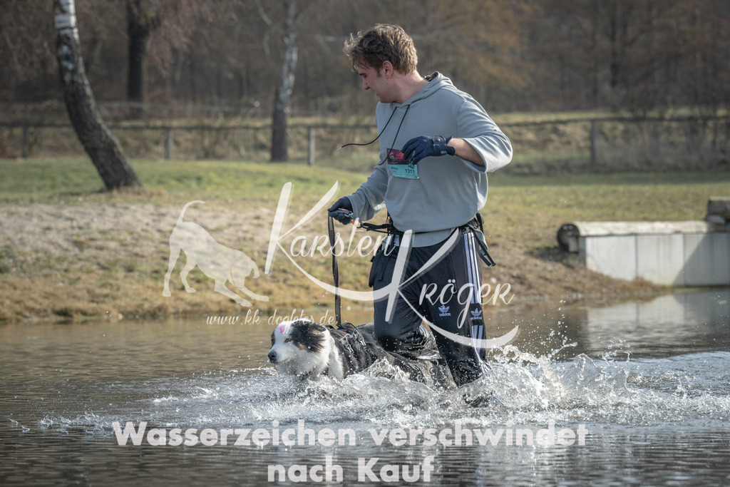 1058_ZZ91069 | kk-dogfotos