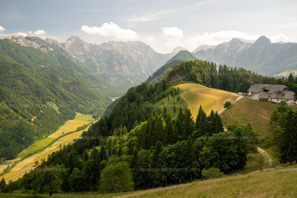 DJ0_0334 | invaluablemoments.com - Realisiert mit Pictrs.com