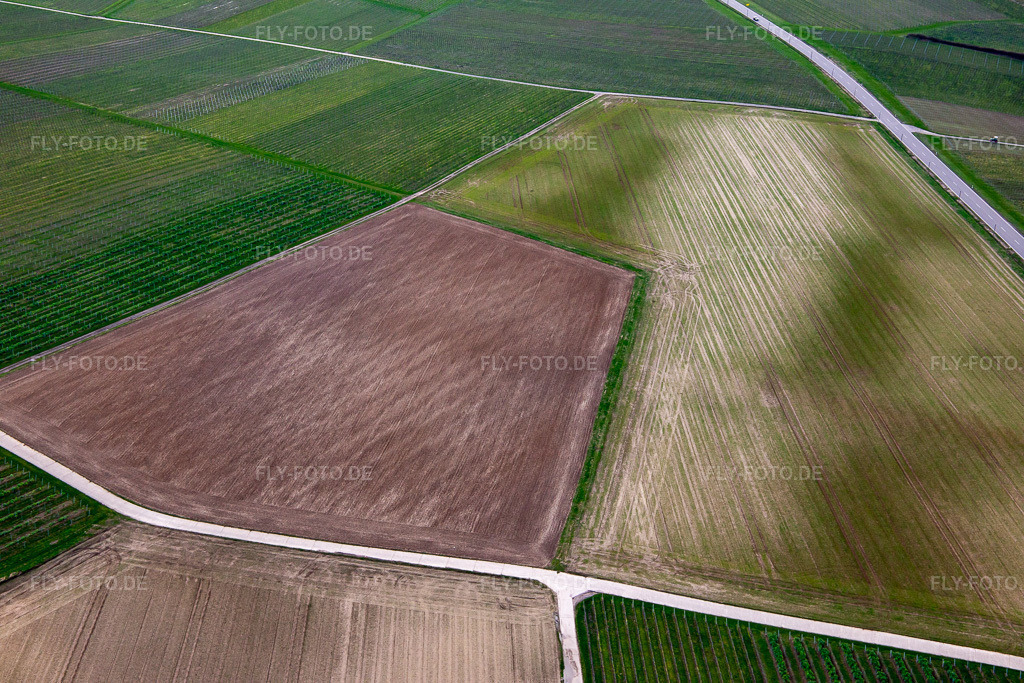Luftbild: Ackerstrukturen im Ortsteil Ingenheim in Billigheim-Ingenheim im Bundesland Rheinland-Pfalz in Deutschland. Foto: IMG_140093.jpg vom 14.03.2024 durch Werner Riehm/FLY-FOTO.de