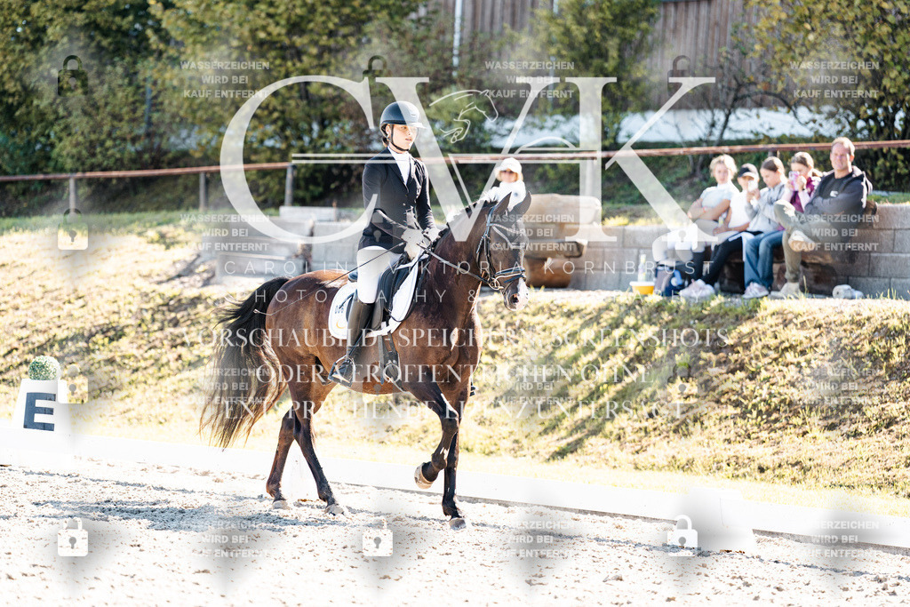 CK909090 | Turnierfotografie Pferdefotografie Trier Rheinland-Pfalz Pferdesport Reitsport Tierfotografie Sportfotografie Pferdevideo Pferdevideografie Equestrianvideography equestrianphotography  - Realisiert mit Pictrs.com