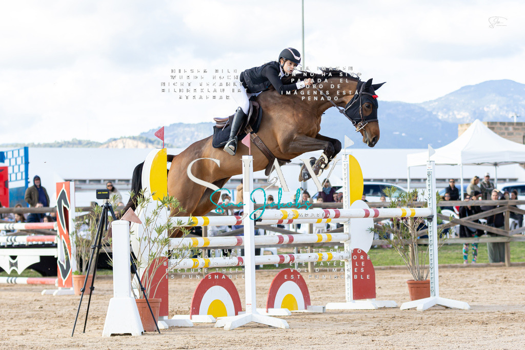 IMG_7910 | s-jay-photography - Realisiert mit Pictrs.com