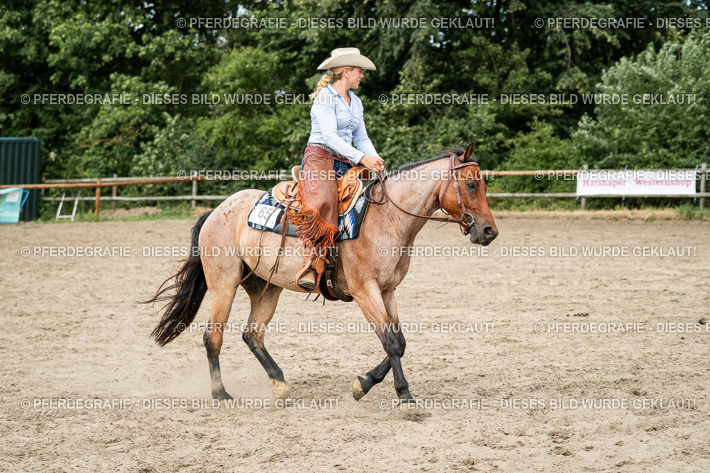 DSC01764 | Pferdegrafie