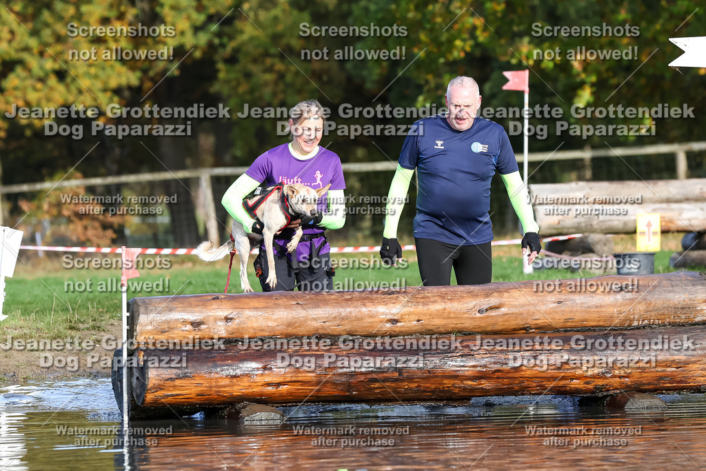 Dog Paparazzi - Strongdog 10-25-8365 | Dog Paparazzi Jeanette Grottendiek Fotografie & Videografie - Realisiert mit Pictrs.com