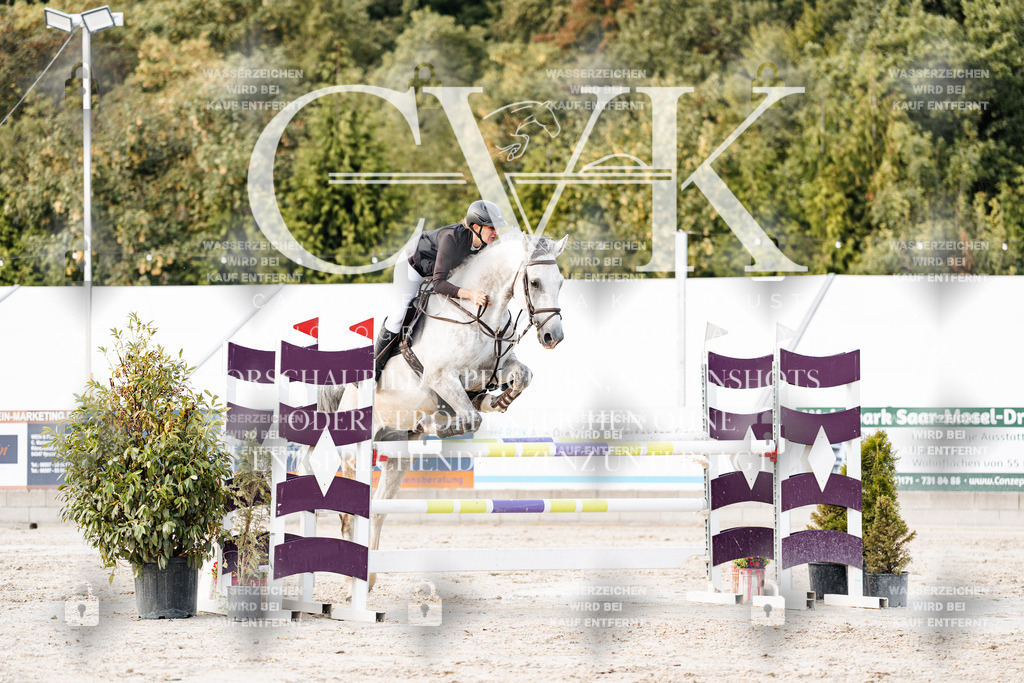 CK903658 | Turnierfotografie Pferdefotografie Trier Rheinland-Pfalz Pferdesport Reitsport Tierfotografie Sportfotografie Pferdevideo Pferdevideografie Equestrianvideography equestrianphotography  - Realisiert mit Pictrs.com