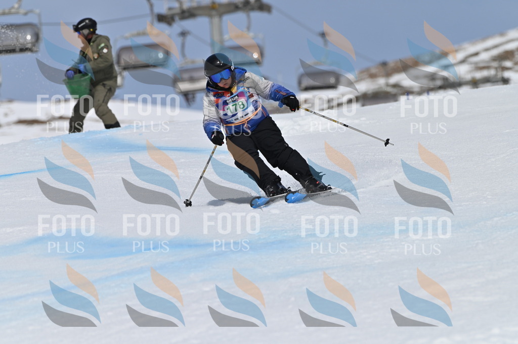 BGV_3503 | holidayphoto