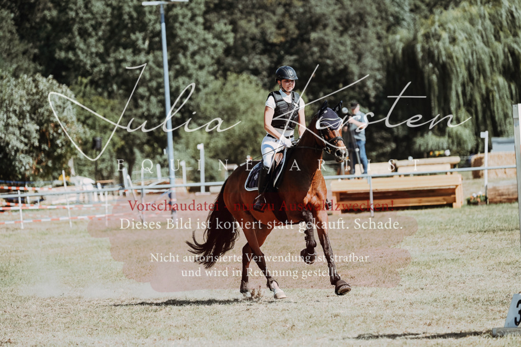 DSC_9679 | Pferde- und Turnierfotografie in Westsachsen. Pferdeportraits, Auftragszeichnungen und intuitive Kunst.