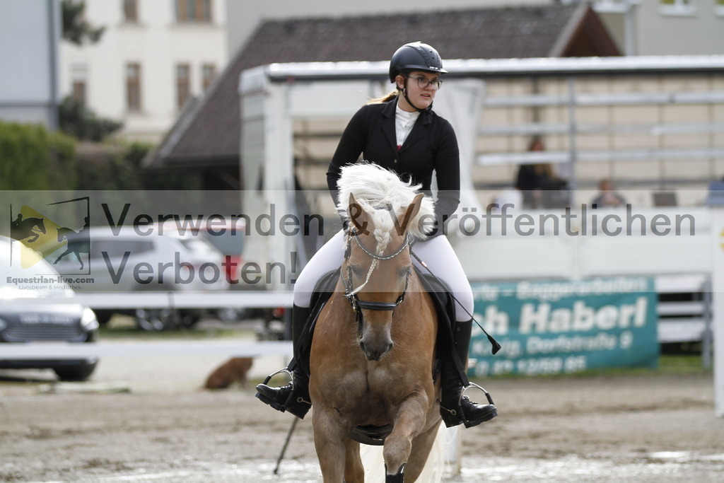_MG_1274 | equestrian-live-com