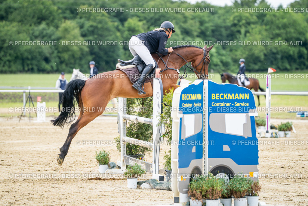 DSC05462 | Pferdegrafie