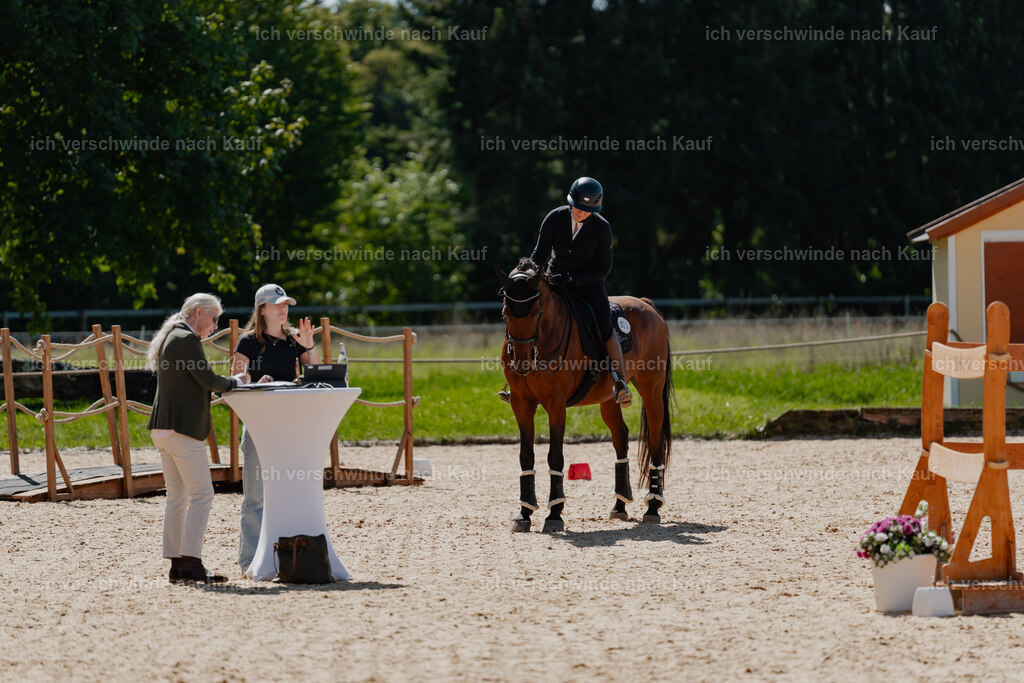 Nadine22_FHC2025-81 | working equitationturnier fotograf videograf stoibphotography marixx film working equitation deutschland reitsport turnierfotografie eventfotografie equestrian events