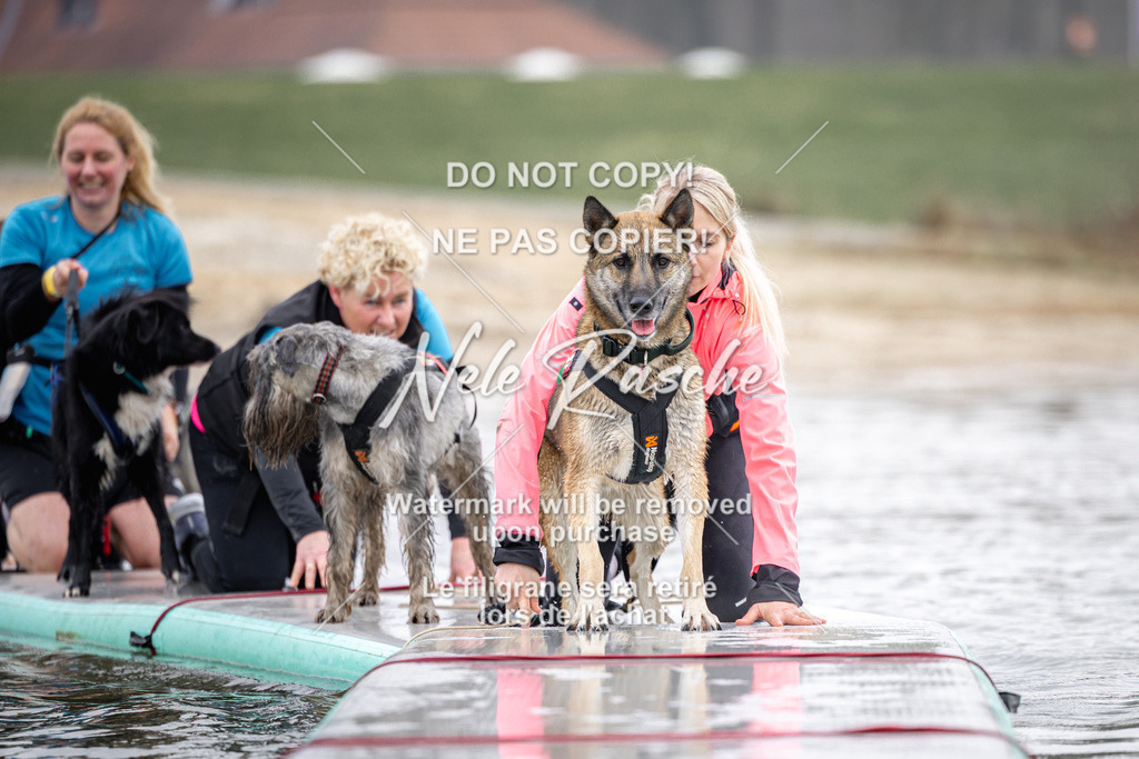 nelerasche_Hulsbeek_Sa1100-1130_693 | nelerasche