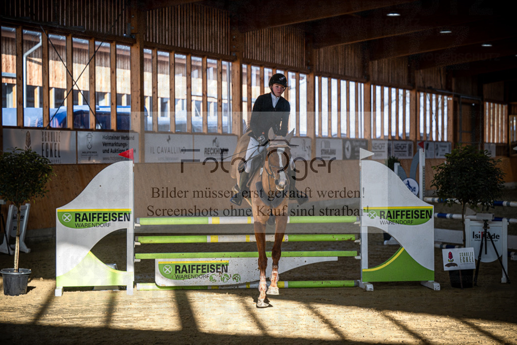 DOS_0984 | Entdecke hochwertige Reitturnierfotos von Foto Oger. Professionell, emotional und authentisch – jetzt Lieblingsmomente im Shop bestellen.Deutschlandweite Turnierfotografie. - Realisiert mit Pictrs.com