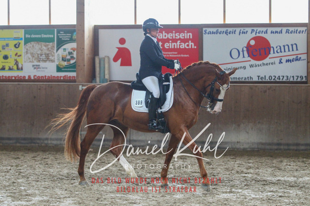 DKP44915 | Turniersportfotografie; Pferdefotografie; Dressurfotografie