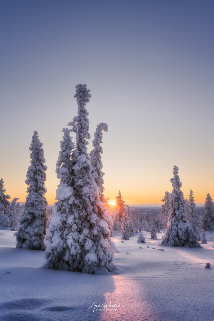 Im Licht des Nordens | Andre Wandrei - Nature Artworx - Realisiert mit Pictrs.com