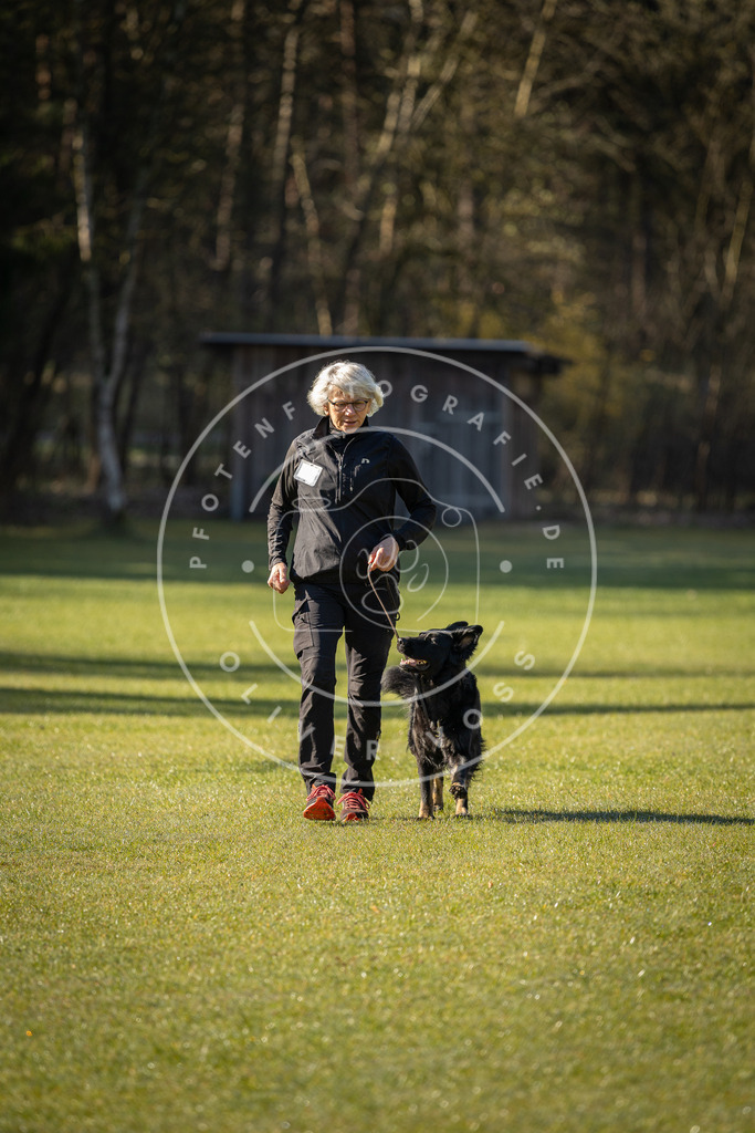 Pfotenfotografie_DV3A0009 | Hundefotografie, Tierfotograf, Pfotenfotografie, Fotoshooting Hund, Hunde Portrait, Hundesport, Hundeportraits, Heideshooting, Hunde, Sportfotograf, Hundefotograf, Turnierhundsport, THS,  - Realisiert mit Pictrs.com