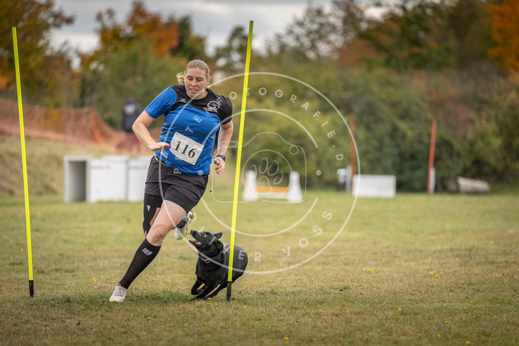 Pfotenfotografie_DV3A7682 | Hundefotografie, Tierfotograf, Pfotenfotografie, Fotoshooting Hund, Hunde Portrait, Hundesport, Hundeportraits, Heideshooting, Hunde, Sportfotograf, Hundefotograf, Turnierhundsport, THS,  - Realisiert mit Pictrs.com
