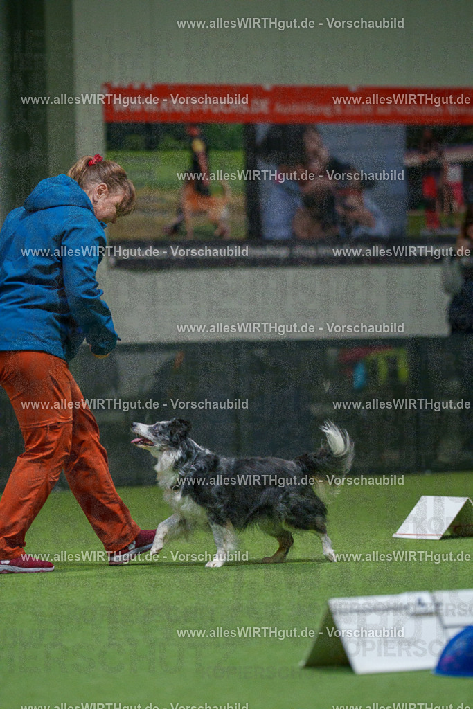 7R504479 | Professionelle Tierfotografie in Mönchengladbach von Daniel Wirth (allesWIRTHgut). Liebevolle & natürliche Bilder von Hunden & Katzen für unvergessliche Erinnerungen.