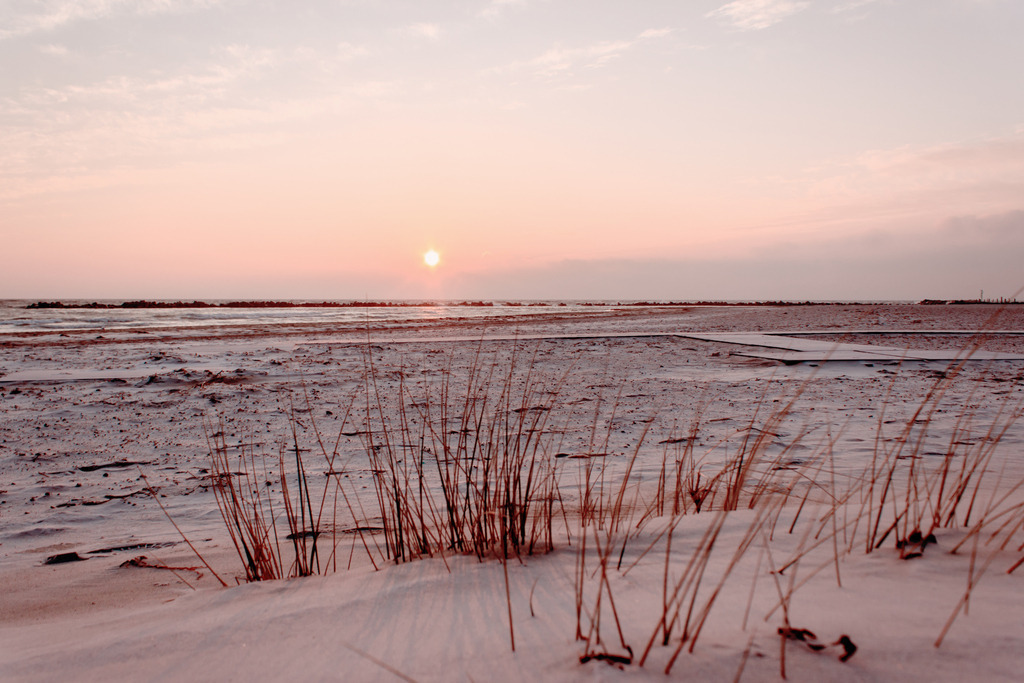 Wandbild: Sandstrand im Morgenrot in dezenten Farben | Das Wandbild im Querformat zeigt einen schönen Sandstrand am Morgen. Das Licht am Strand ist durch den Sonnenaufgang noch dezent rötlich. Im Vordergrund stehen einige Halme Strandhafer. Über dem Meer kann man die kurz zuvor aufgegangene Sonne gut erkennen. Holen Sie sich dieses traumhafte Strandmotiv in dezenten Farben auf Leinwand, auf Aluminium-Platte oder Acrylglas. Ideal fürs Wohnzimmer, Schlafzimmer, Küche, den Arbeitsplatz oder die Ferienwohnung. Die Wandbilder werden individuell für Sie in vielen Abmessungen produziert. Daher passen die Ostseekult Wandbilder immer perfekt an Ihre Wände. - Realisiert mit Pictrs.com