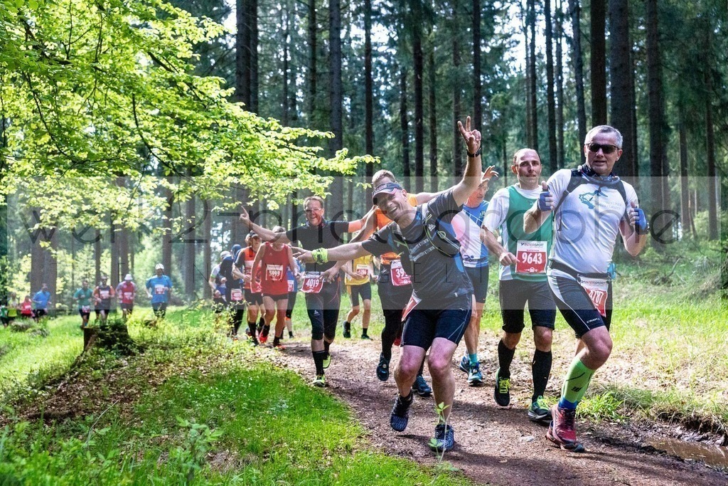 Rennsteiglauf 2019 | Marathon Neuhaus/Rwg. - Schmiedefeld am 18. Mai 2019
