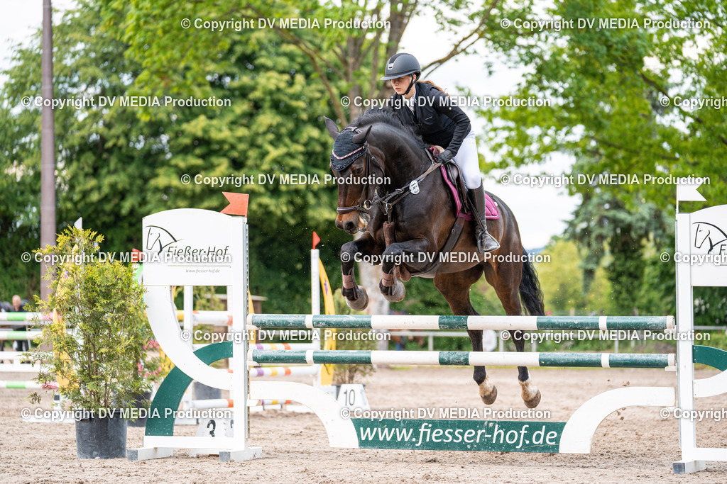 Eppelheim Tag 2-547 | dv-media-shop - Realisiert mit Pictrs.com