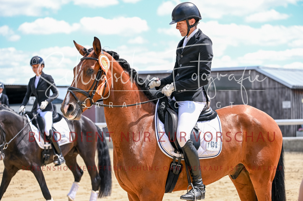 Schugtsche-Aluta25-48.Reitpferfdeprf.-312 | Schugtsche Fotografie - Realisiert mit Pictrs.com