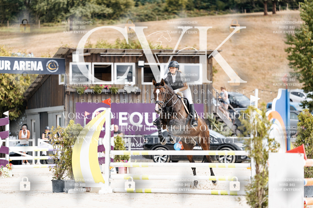 CK908836 | Turnierfotografie Pferdefotografie Trier Rheinland-Pfalz Pferdesport Reitsport Tierfotografie Sportfotografie Pferdevideo Pferdevideografie Equestrianvideography equestrianphotography  - Realisiert mit Pictrs.com
