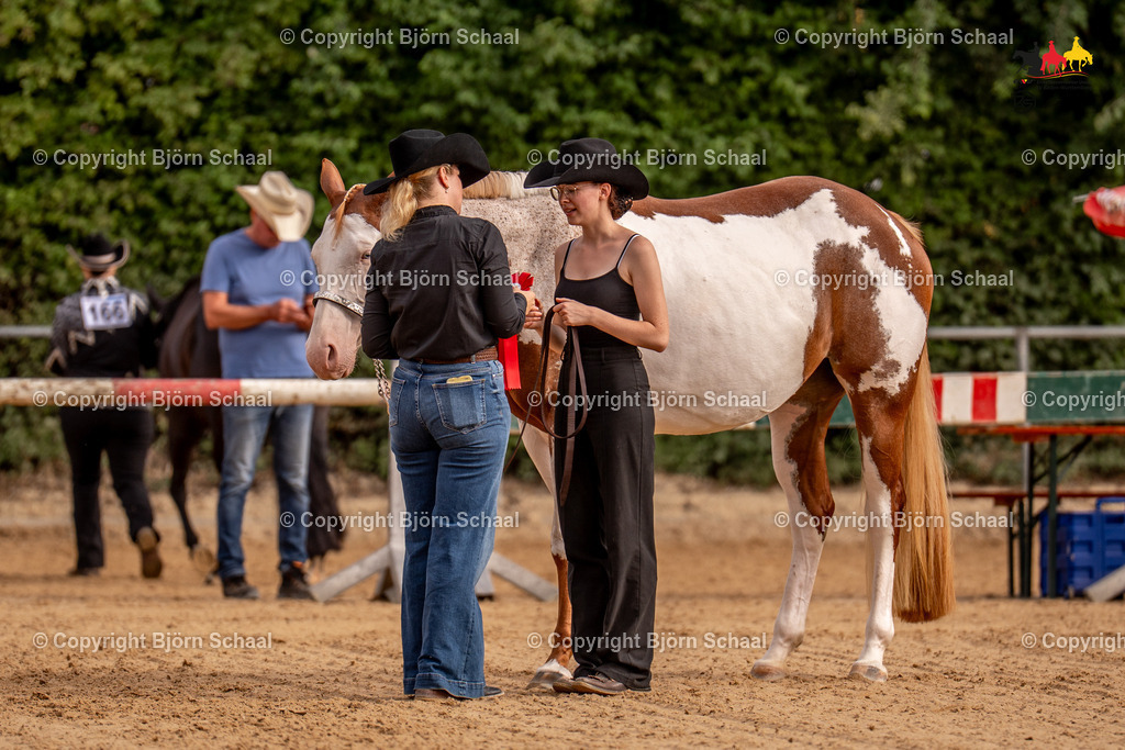 LMS06615 | BS-foto
