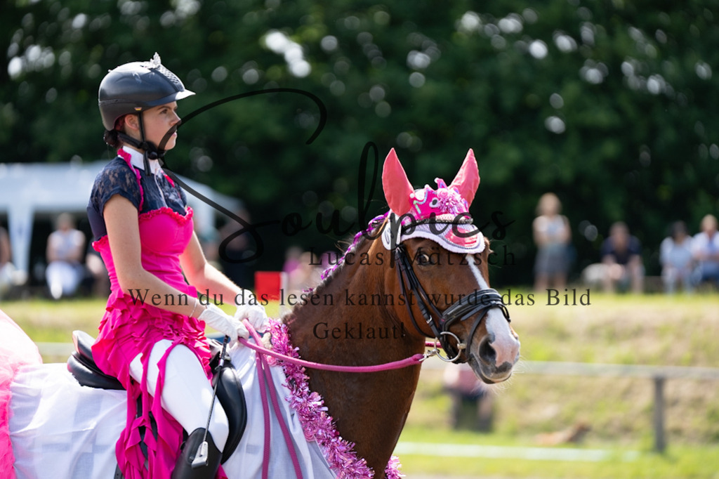 A7V04599 | Pferdefotograf