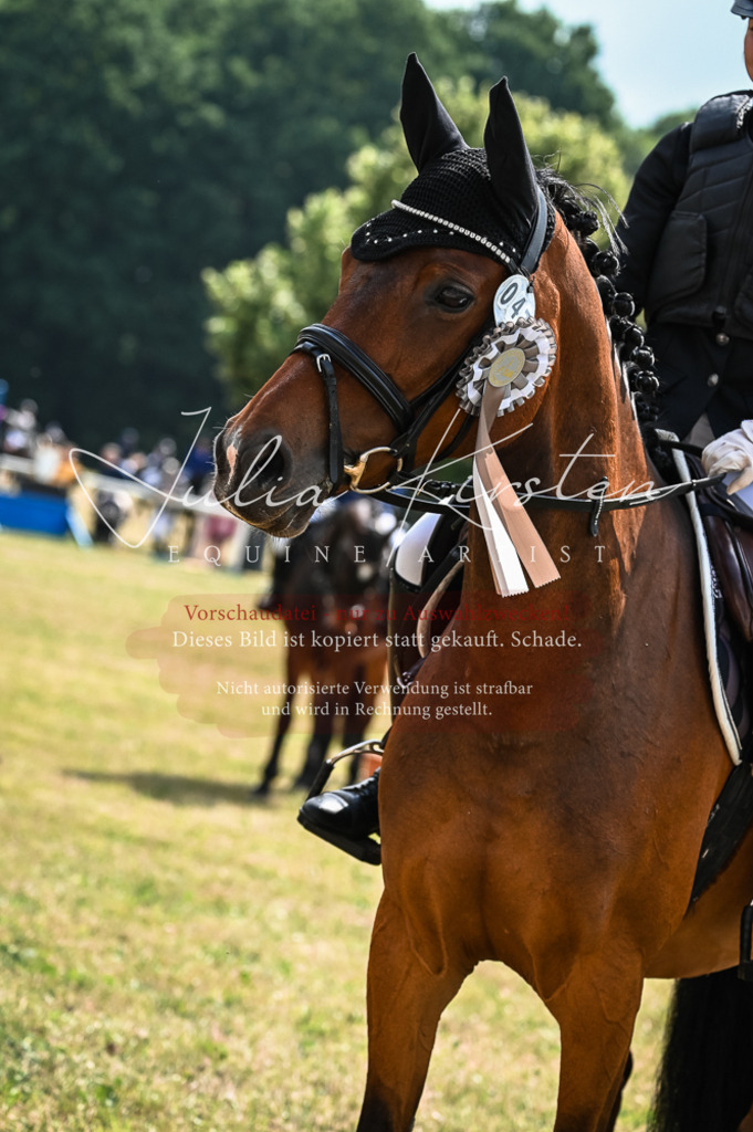 DSC_8607 | Pferde- und Turnierfotografie in Westsachsen. Pferdeportraits, Auftragszeichnungen und intuitive Kunst.