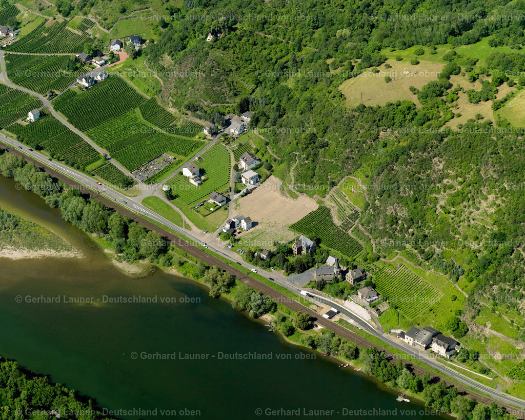 3120727 | Oberhammerstein