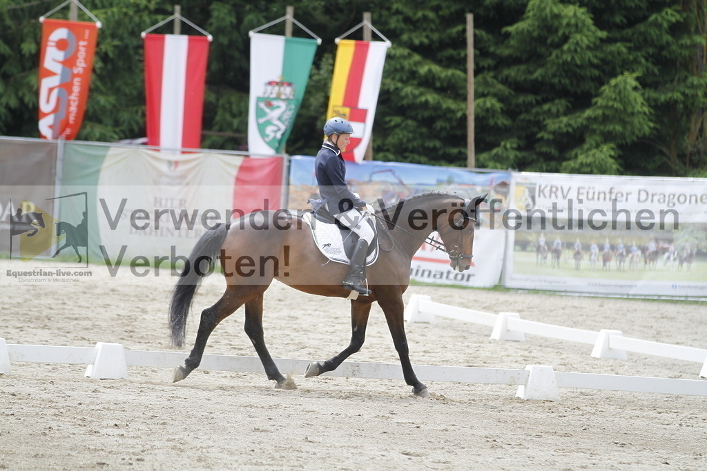_MG_1782 | equestrian-live-com