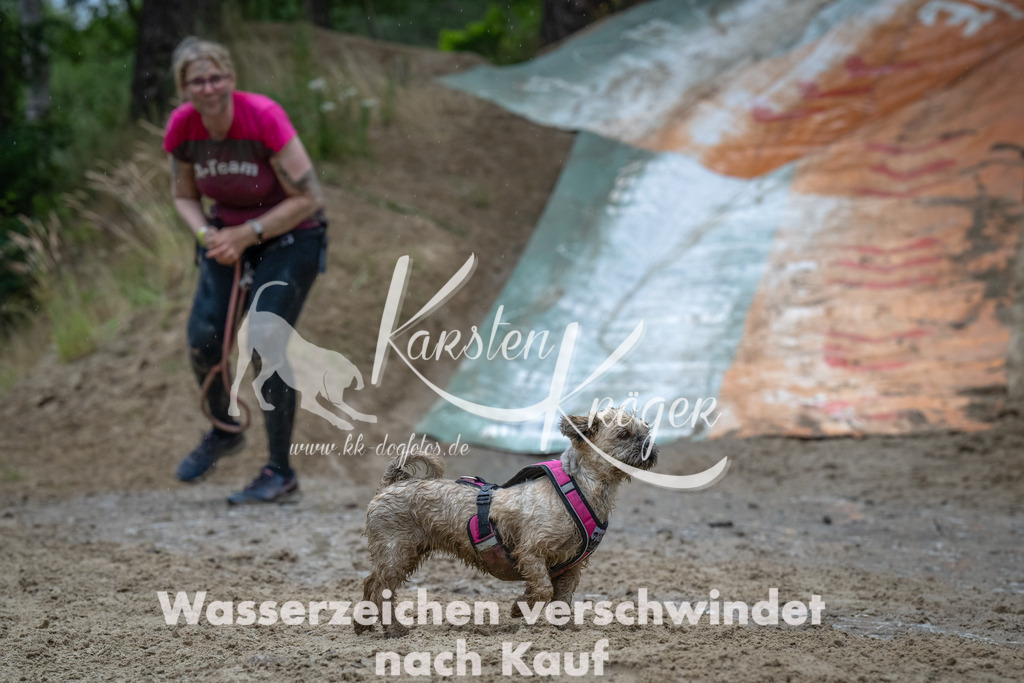 1619_ZZ90937-Bearbeitet | kk-dogfotos