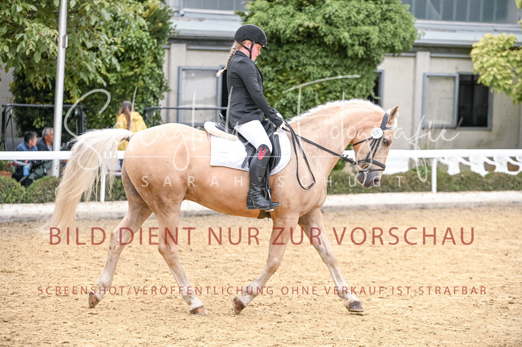 Schugtsche-Aluta25-44.DresssurreiterWB-153 | Schugtsche Fotografie - Realisiert mit Pictrs.com