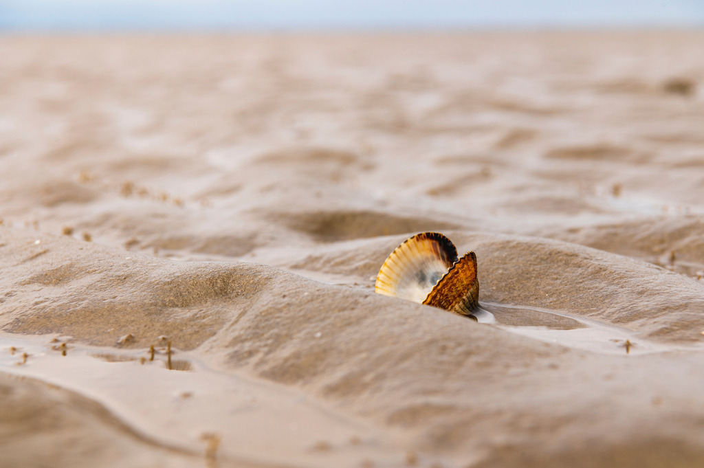 2023_07_28_CUXHAVEN_MCP0504 | Hochwertig gedruckte Fotografien für die Wand, als Kalender und zum Verschenken. Hamburg & Norddeutschland und überall wo ich mit der Kamera unterwegs war.