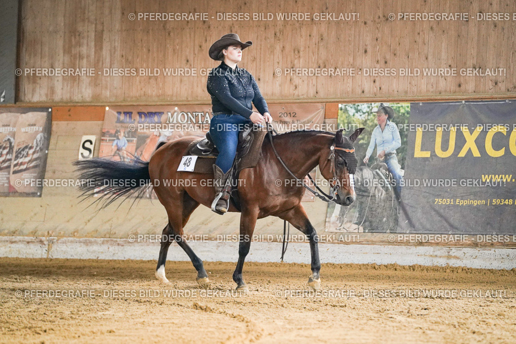 DSC05390 | Pferdegrafie